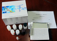 LTC4說(shuō)明書 人白三烯C4ELISA試劑盒廠家——上海勁馬實(shí)驗(yàn)設(shè)備配件產(chǎn)品介紹